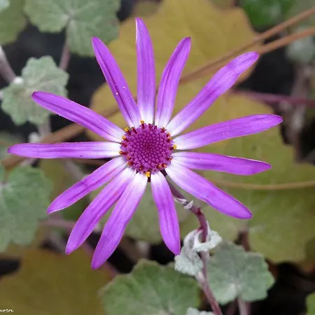 La Cuadra Σπίτι διακοπών *